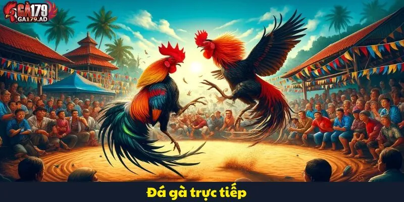 Đá Gà Trực Tiếp