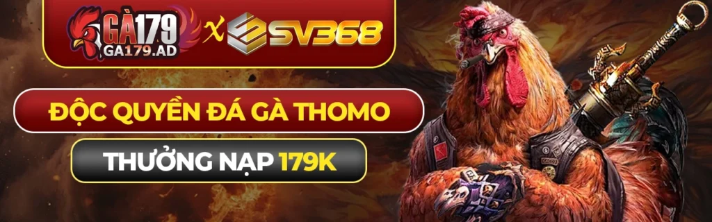 "Ga179 x Sv368 Độc quyền đá gà thomo - Thưởng nạp 179k"